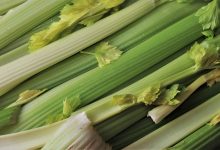 Celery Juice Day 55: Is It Worth It?