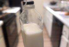 How to Make Homemade Oat Milk (Easier Than a Smoothie!)